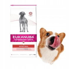 Eukanuba Eukanuba Breed Nutrition suha hrana za odrasle pse pasme labradorcev, 12 kg