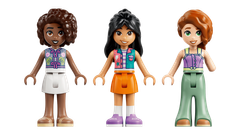 LEGO Friends Vrtiljak z rožno in vilinsko skodelico 42702