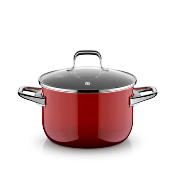 WMF Fusiontec Essential PRO lonec za juho s pokrovom 20 cm, primerno za indukcijo (0520995290)