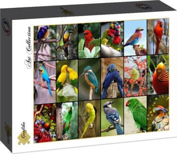 Grafika Puzzle Najlepše ptice sveta 1500 kosov