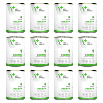 VetExpert Veterinary Diet Obesity Dog mokra hrana za pse 12 x 400 g