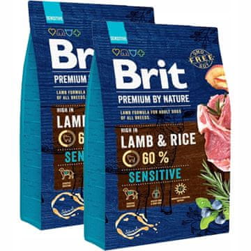 Brit BRIT Premium Sensitive jagnjetina in riž 2 x 3 kg