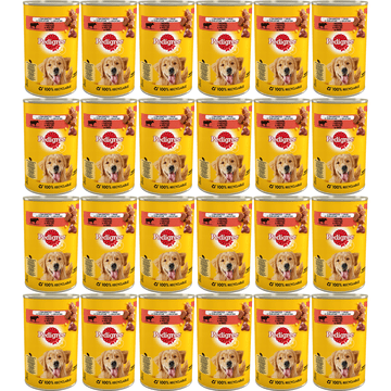 Pedigree Adult govedina v želeju - mokra hrana za pse - 24 x 400 g