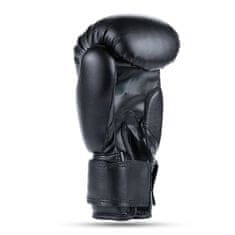 DBX BUSHIDO boksarske rokavice ARB-407v5 6 oz