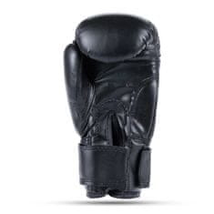 DBX BUSHIDO boksarske rokavice ARB-407v5 6 oz