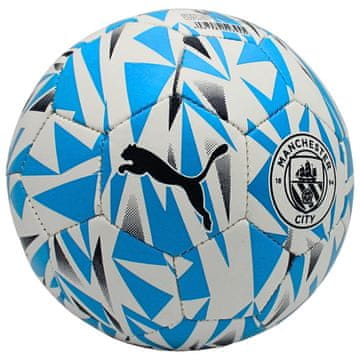 Puma Žoge 08462402