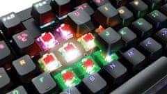 Trust Gaming GXT 863 Mazz, US, gaming tipkovnica (24200)