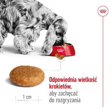 Royal Canin Royal Canin SHN Medium Adult BF 4 kg