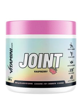 Vitamini.com Joint 300g Malina