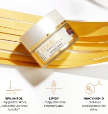 Eveline Cosmetics Eveline Contour Correction lifting krema za obraz za dan in noč 50 ml