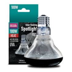 Arcadia Basking Solar Spot 100W