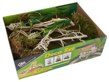 Lucky Reptile Deco Set Mantis