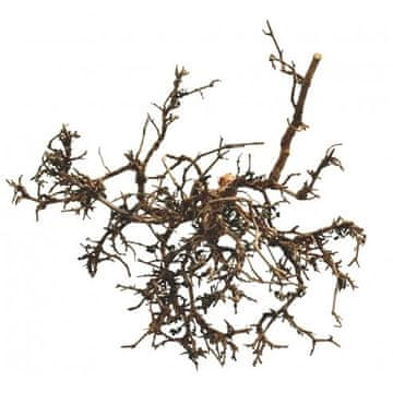 Lucky Reptile Desert Bushes Naravno pribl. 25-40 cm