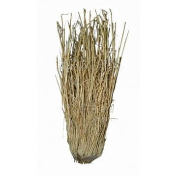 Lucky Reptile Grass grmičevje 25-40 cm