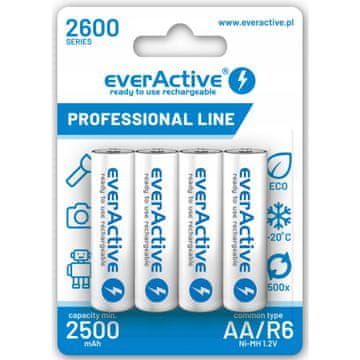 R6 AKU 4BL Everactive 2600 professional