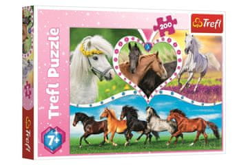 Trefl Puzzle Lepi konji / 200 kosov