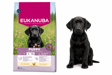 Eukanuba Eukanuba Dog Breeder Puppy Large piščanec suha hrana za pse 18 kg