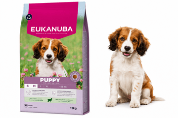 Eukanuba EUKANUBA Puppy Junior Small Medium Lamb Rice suha hrana 12 kg