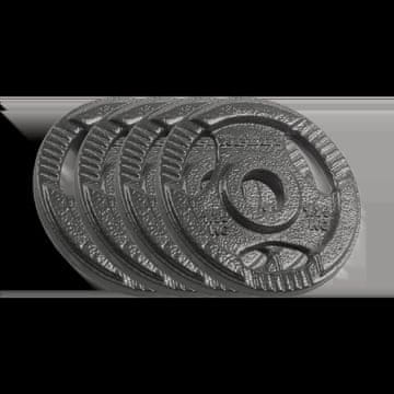 Rebel Komplet uteži iz litega železa 4x1,25 kg, luknja 6 kg, plošča 31 mm z ročaji