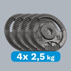 Rebel Komplet uteži iz litega železa 4 x 2,5 kg, luknja 51 mm, plošča z ročaji,