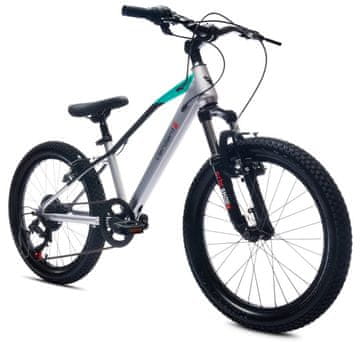 shumee 20-palčno fantovsko kolo, 6-stopenjski Shimano, amortizer Verdant Juniper
