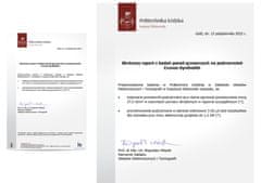 shumee CRONOS Synthelith PRO CRP-980TWP siva IR grelna plošča