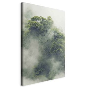 Artgeist Slika - Meglena Amazonija (1-delna) vertikalna