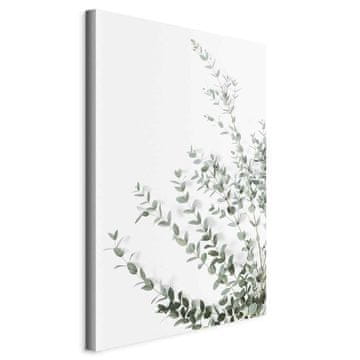 Artgeist Slika - Evkaliptus parvifolia (1-delni) navpični