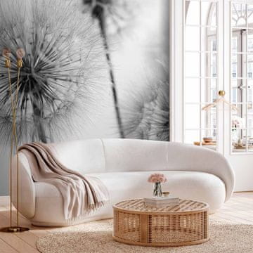 Artgeist Foto tapeta - Čas za regrat - druga različica