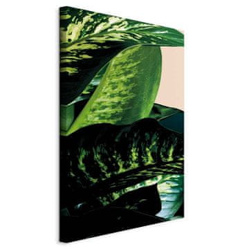 Artgeist Slika - Difenbahija (1-delna) navpična