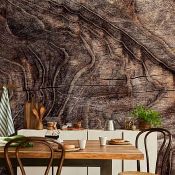 Artgeist Foto tapeta - Znaki časa - abstraktno ozadje z nagubanim lubjem starega drevesa