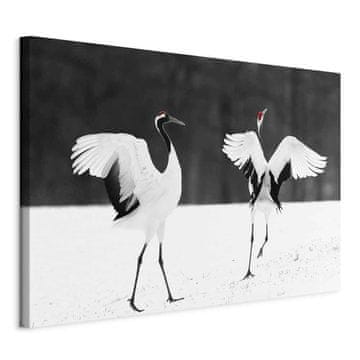 Artgeist Slikanje - Plesni žerjavi (1-delno) široko