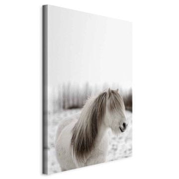 Artgeist Slika - Konjska griva (1-delna) navpična