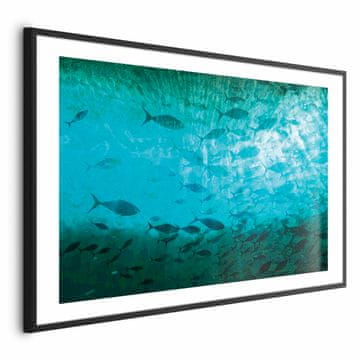 Artgeist Plakat - Jata temnih rib