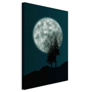 Artgeist Slika - Čudovita polna luna (1-delna) navpična