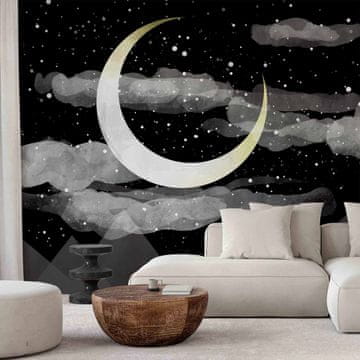 Artgeist Foto tapeta - Nočni sij