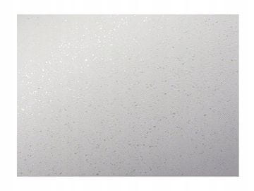 Argo DEKORATIVNI KARTON IZ SLJUDINE BEL 240G/M2 (20) 4611