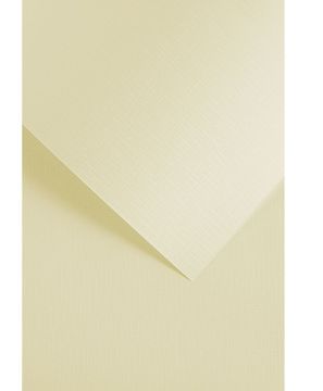 Argo DEKORATIVNI KARTON KREMNE BARVE 180G/M2 (20) 8587