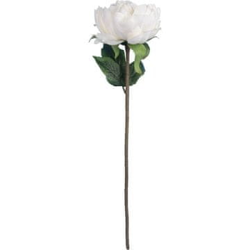 shumee POTONIKA 50 cm BEL
