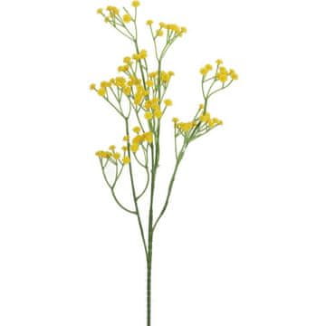shumee Rumena veja gipsofile 60 cm za cvetlične aranžmaje