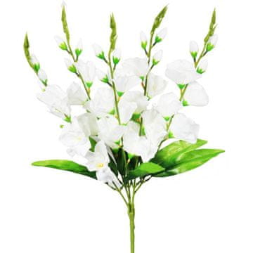 shumee Pet belih gladiolov - šopek, višina 60 cm
