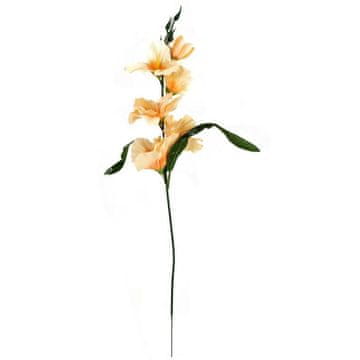 shumee LOSOSOVA GLADIOLA 55 cm