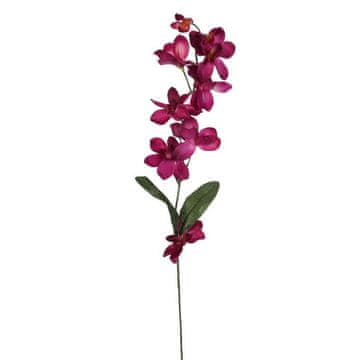 shumee VEJICA ORHIDEJE BORDO 66 CM