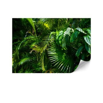 shumee Standardna netkana tapeta - 100 x 70 cm - džungelski slog - narava Standardna netkana tapeta - 250 x 175 cm - džungelski slog - narava