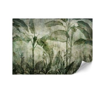 shumee Standardna netkana tapeta - 100 x 70 cm - urbani džungelski slog - narava Standardna netkana tapeta - 150 x 105 cm - urbani džungelski slog - narava