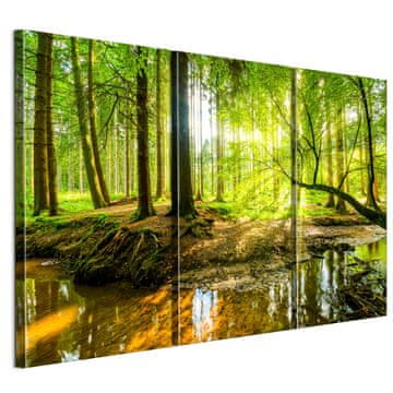 shumee Slika na italijanskem platnu 90 x 60 cm triptih - eklektični slog - narava Slika na italijanskem platnu 120 x 80 cm triptih - eklektični slog - narava