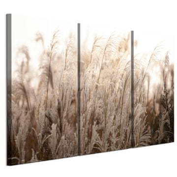 shumee Slika na italijanskem platnu 90 x 60 cm triptih - boho stil - narava Slika na italijanskem platnu 120 x 80 cm triptih - boho stil - narava