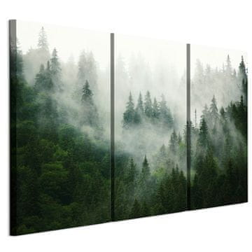 shumee Slika na italijanskem platnu 90 x 60 cm triptih - eklektični slog - narava Slika na italijanskem platnu 120 x 80 cm triptih - eklektični slog - narava