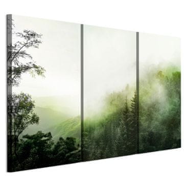 shumee Slika na italijanskem platnu 90 x 60 cm triptih - boho stil - narava Slika na italijanskem platnu 120 x 80 cm triptih - boho stil - narava