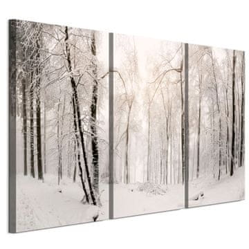 shumee Slika na italijanskem platnu 90 x 60 cm triptih - klasični slog - narava Slika na italijanskem platnu 120 x 80 cm triptih - klasični slog - narava